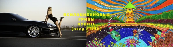 сатива Белоозёрский