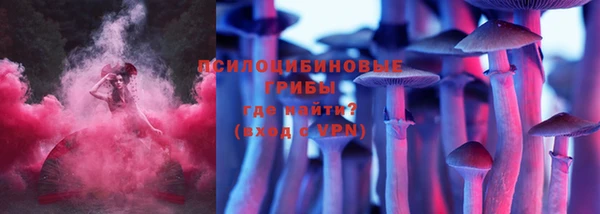 ешки Белокуриха