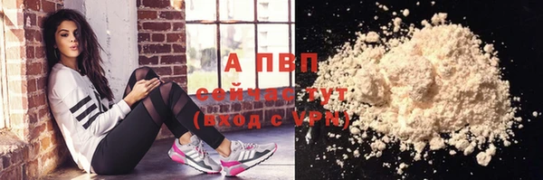 сатива Белоозёрский
