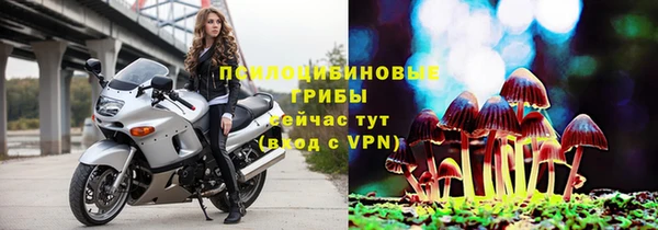 сатива Белоозёрский