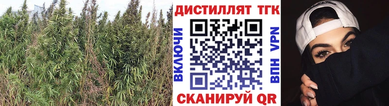 ТГК вейп с тгк  kraken зеркало  Невьянск  купить наркоту 